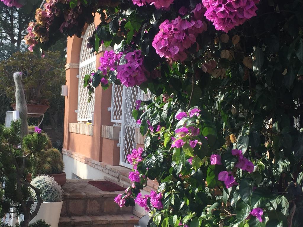 Villa Silvio Civitanova Alta Camera foto